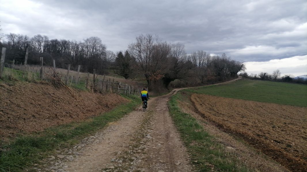 IMG-20240309-WA0019