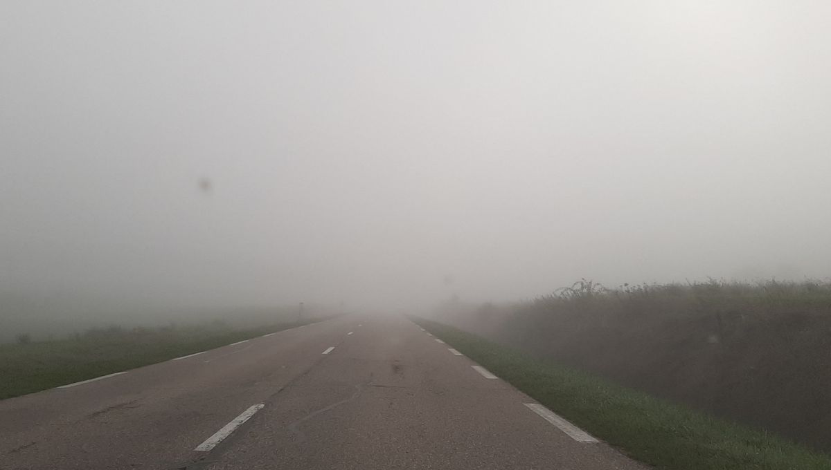 📒 Une sortie dans le brouillard