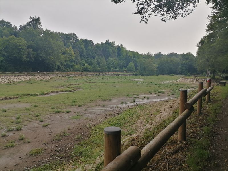 L'étang désespérément vide de la Rosière